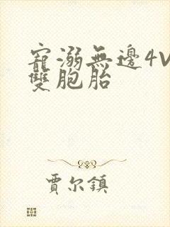 宠溺无边4V2双胞胎