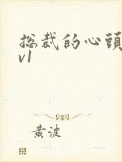 总裁的心头宝1v1