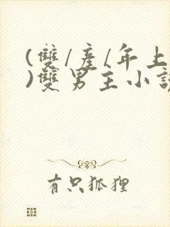 (双/产/年上)双男主小说