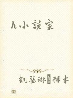 h小说家