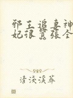 邪王追妻神医狂妃很嚣张全文免费