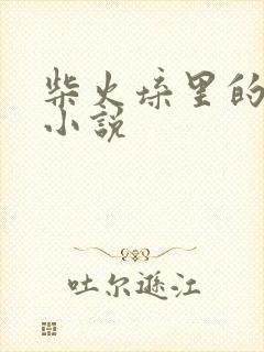 柴火垛里的疯狂小说