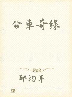 公车奇缘