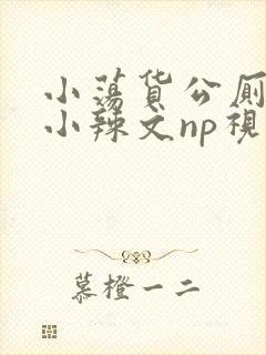 小荡货公厕h文小辣文np视频