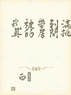 我被带到满是玩具的房间挑调游戏