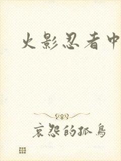 火影忍者中文网
