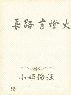 长路有灯火