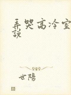 弄哭高冷室友小说