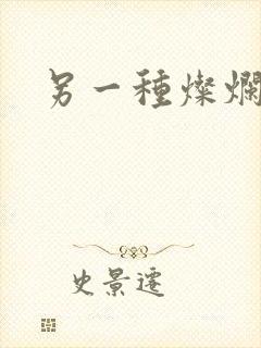 另一种灿烂生活