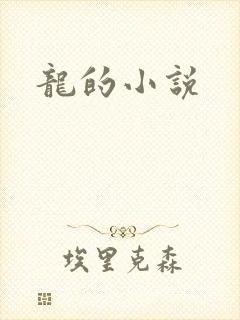 龙的小说