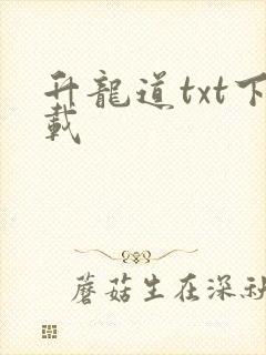 升龙道txt下载