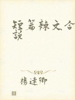 短篇辣文合集小说