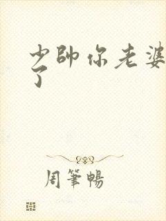 少帅你老婆又跑了