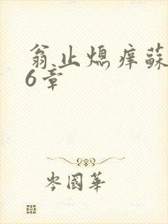 翁止熄痒苏玥第6章