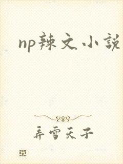 np辣文小说