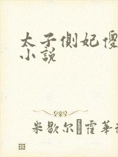 太子侧妃傻乎乎小说