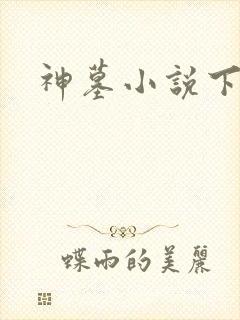 神墓小说下载