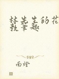 林先生的花式管教笔趣