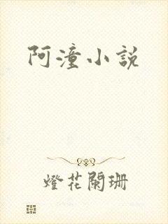 阿潼小说