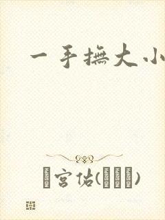 一手抚大小说
