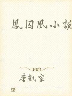 凤囚凰小说
