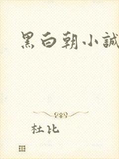 黑白朝小诚