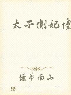 太子侧妃傻乎乎