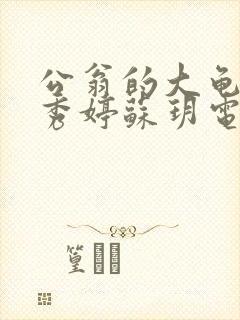 公翁的大龟挺进秀婷苏玥电影