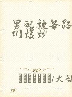 男配被各路大佬们爆炒