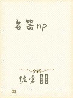 名器np