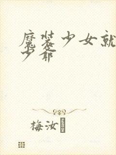 魔装少女就是本少爷