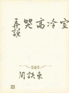 弄哭高冷室友小说