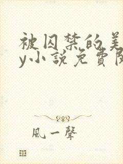 被囚禁的美人by小说免费阅读