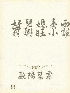 好儿媳秦雨罗明罗兴旺小说