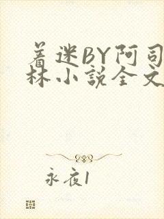 着迷BY阿司匹林小说全文免费阅读