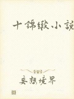 十锦缎小说