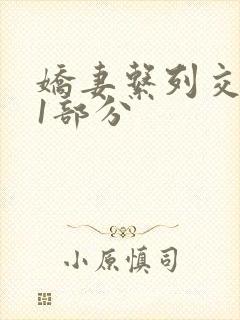 娇妻系列交换11部分