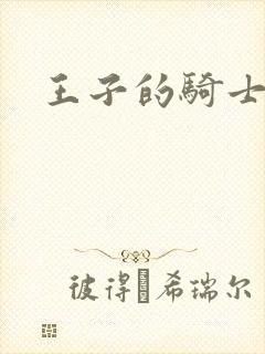 王子的骑士