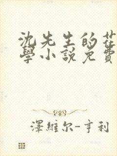 沈先生的花式教学小说免费