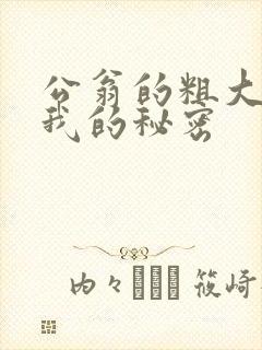 公翁的粗大放进我的秘密