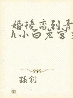 婚后脔到青梅哭h小白兔宫交h