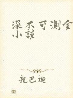 深不可测金银花小说