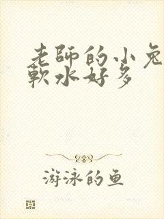 老师的小兔子好软水好多