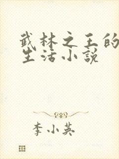 武林之王的退隐生活小说