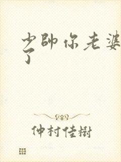 少帅你老婆又跑了