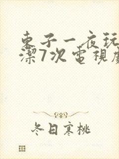 东子一夜玩弄白洁7次电视剧