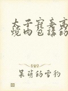 太子宠妾高肉红烧肉包讲的什么