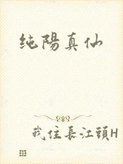 纯阳真仙