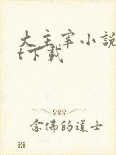 大主宰小说txt下载