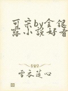 可宋by金银花露小说好看吗